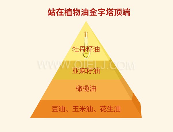 牡丹籽油的生產設備 鄭州企鵝有物理冷榨法和亞臨界生物技術低溫萃取法(圖1) 牡丹籽油精煉設備