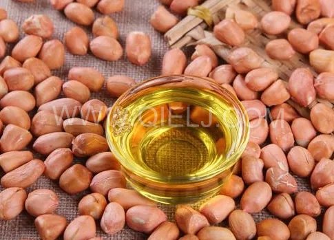 投資建花生油加工廠，選擇企鵝糧油機械設(shè)備事半功倍(圖1)